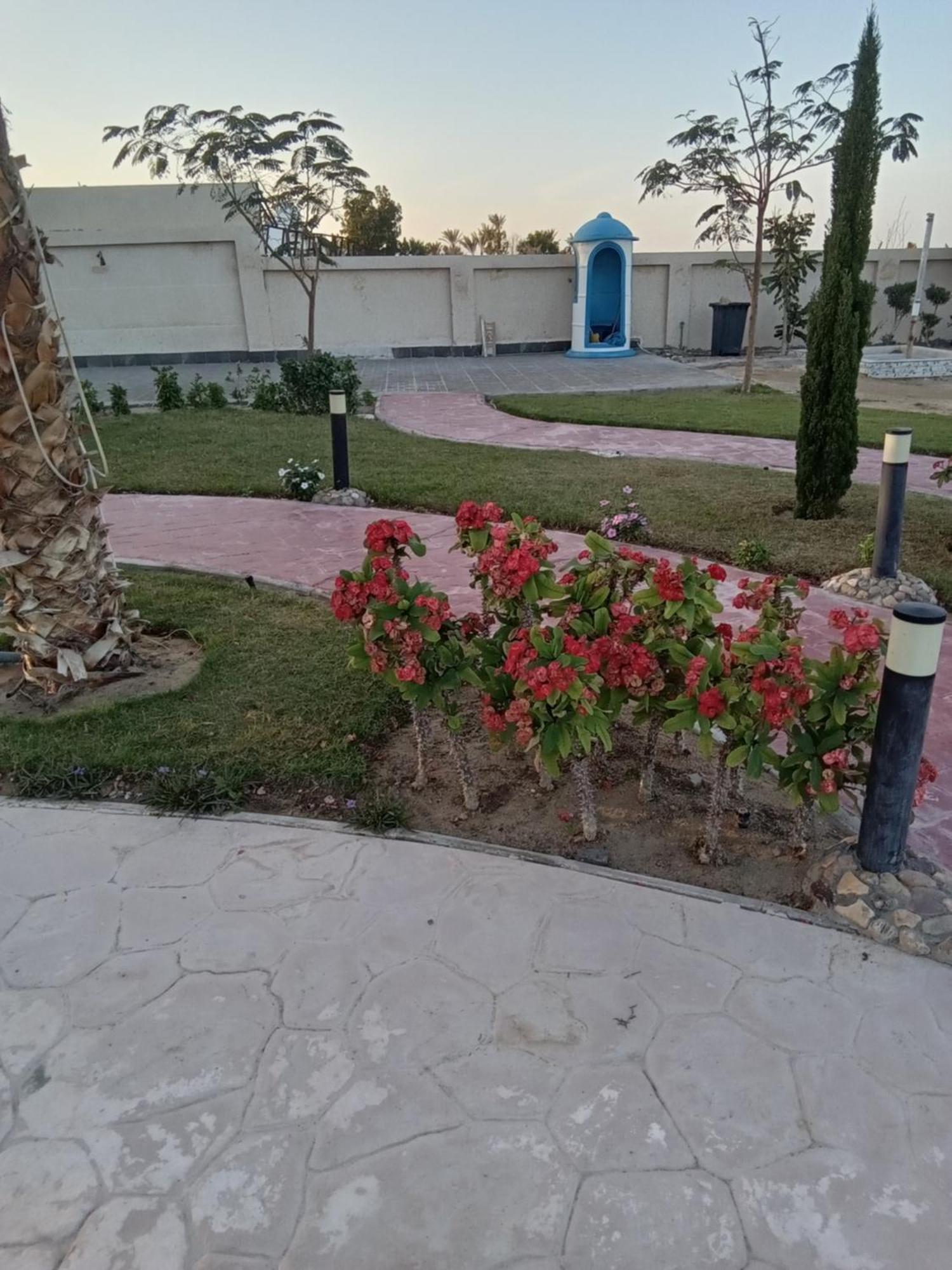 Casablanca Beach For Families And Couples Only Aparthotel Hurghada Exteriör bild